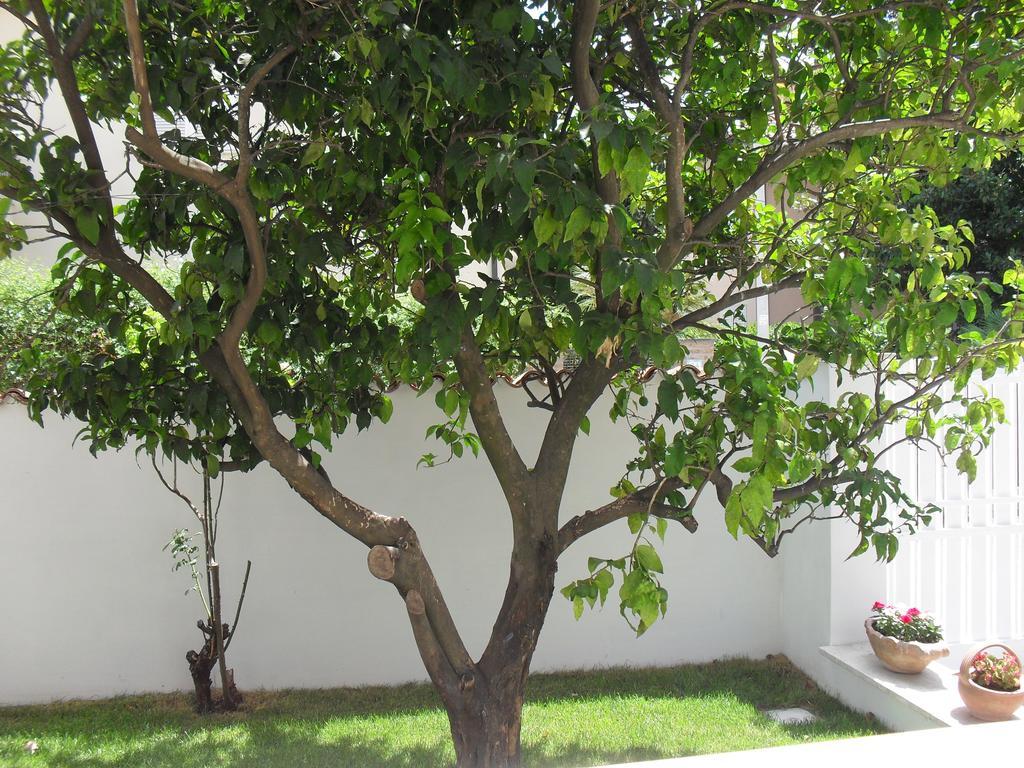 Casa Santolina B&B 로마 외부 사진